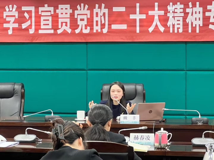 賴豐:國家電網-人才與績效培訓